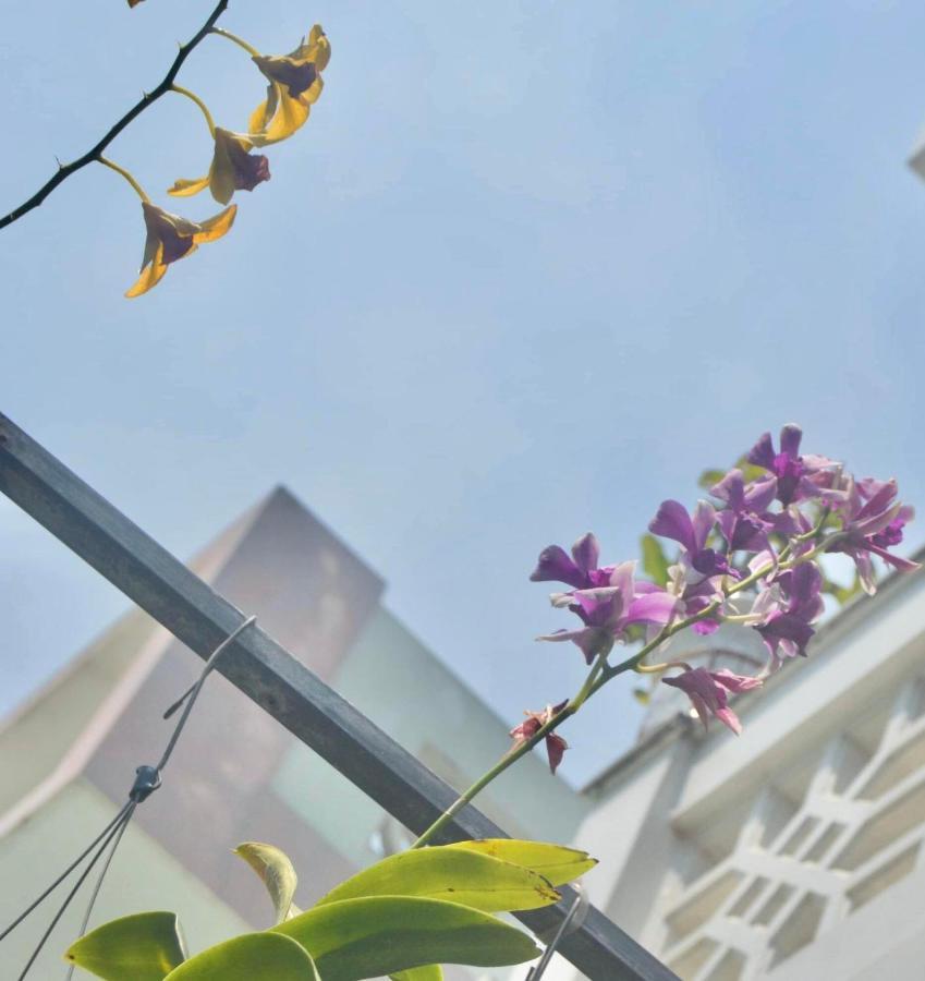 The House 36 Apartment Hoi An Exterior photo